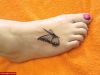 Filename=Little_Butterfly.jpg
Filesize=82KB
Dimensions=750x563
Date added=Nov 14, 2008 Little_Butterfly.jpg