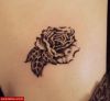 Filename=Rose_Decolte.jpg
Filesize=40KB
Dimensions=558x517
Date added=Nov 14, 2008 Rose_Decolte.jpg