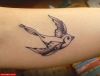 Filename=Tattoo_Art-Old-School_bird~0.jpg
Filesize=70KB
Dimensions=750x576
Date added=Nov 14, 2008 Tattoo_Art-Old-School_bird~0.jpg