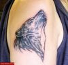 Filename=Wolf_Oberarm.jpg
Filesize=72KB
Dimensions=580x558
Date added=Nov 14, 2008 Wolf_Oberarm.jpg