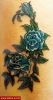 Filename=Blaue_Rose.jpg
Filesize=44KB
Dimensions=313x580
Date added=Nov 14, 2008 Blaue_Rose.jpg