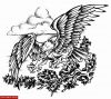 Filename=Adler_Pablo.jpg
Filesize=131KB
Dimensions=750x673
Date added=Nov 14, 2008 Adler_Pablo.jpg