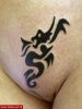 Filename=Hot_Dragon.jpg
Filesize=65KB
Dimensions=435x580
Date added=Nov 14, 2008 Hot_Dragon.jpg