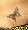 Filename=Butterfly_Leiste.jpg
Filesize=85KB
Dimensions=696x750
Date added=Jan 11, 2009 Butterfly_Leiste.jpg