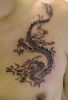 Filename=China_Dragon.jpg
Filesize=75KB
Dimensions=513x750
Date added=Jan 11, 2009 China_Dragon.jpg