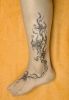 Filename=Flowers_Wade-Fuss.jpg
Filesize=72KB
Dimensions=524x759
Date added=Dec 26, 2009 Flowers_Wade-Fuss.jpg