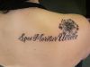 Filename=Fonts_Blume.jpg
Filesize=78KB
Dimensions=900x675
Date added=Nov 13, 2011 Fonts_Blume.jpg